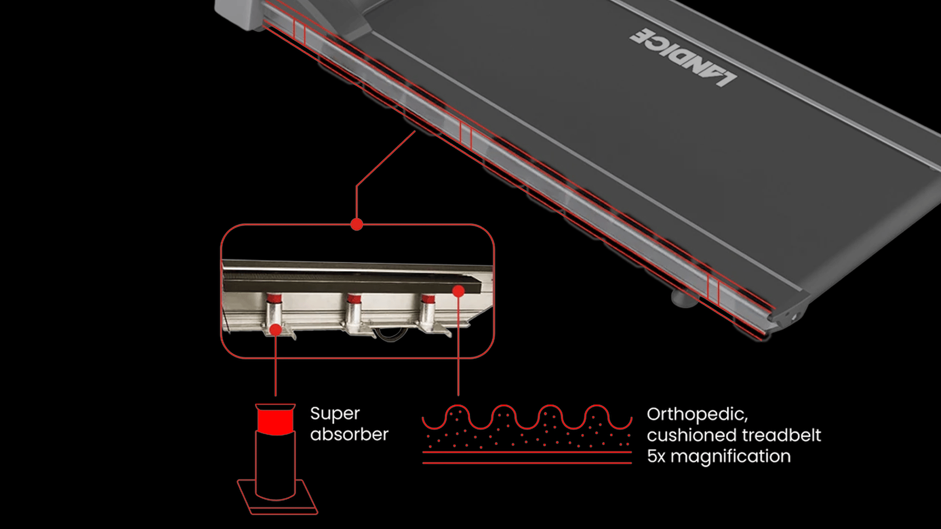 Landice Ortho Belt Infographic