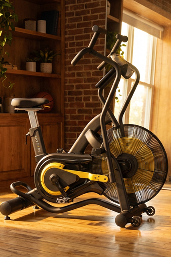 Cascade Air Bike Unlimited in home gym