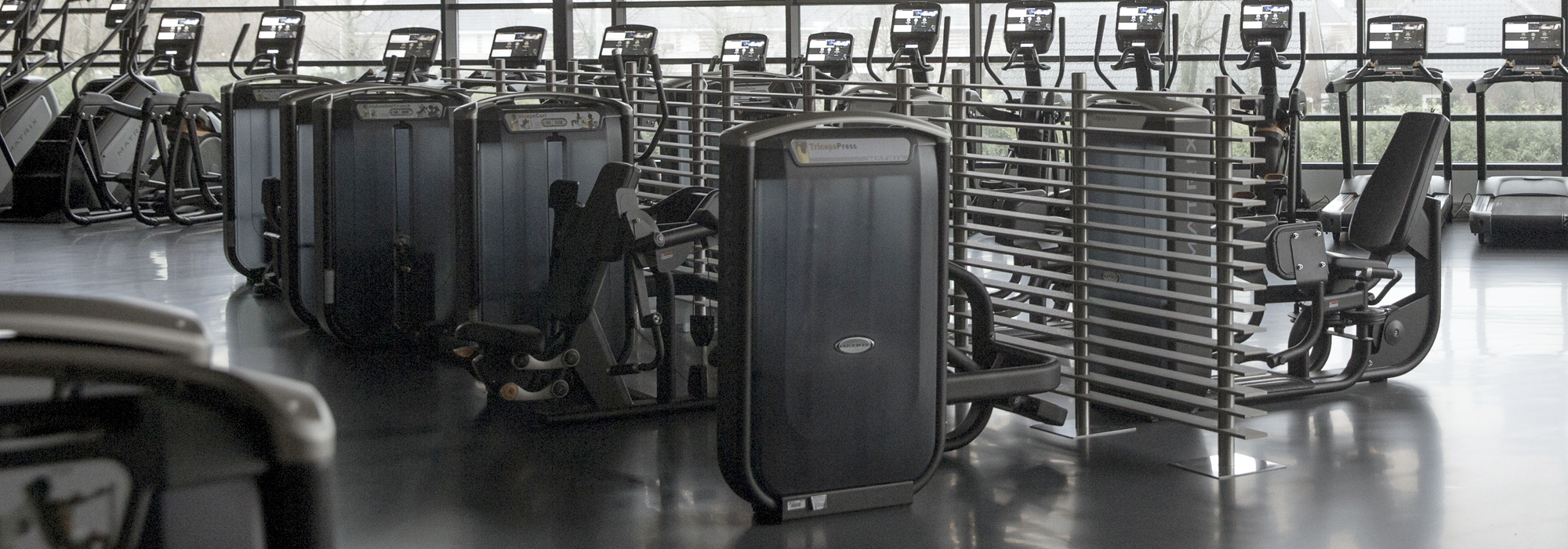 Matrix Aura Free Weights