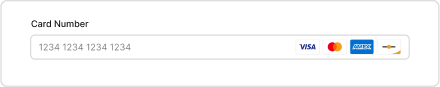 Screenshot of credit card input field