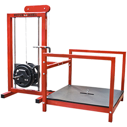 Legend Belt Squat Machine