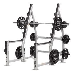 Hoist CF-3367A Squat Rack