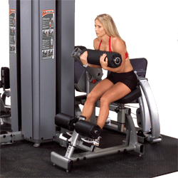 Body-Solid Pro Dual DGYM Pro Ab / Back Component