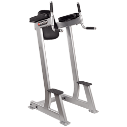 Batca FZ-9 Vertical Knee Raise Dip