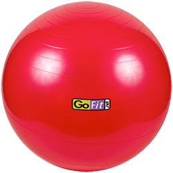GoFit 55cm Stability Ball