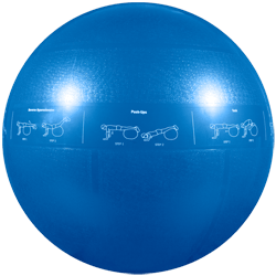 GoFit Professional Grade Stability Ball - 55 cm