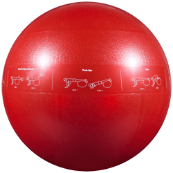 GoFit Professional Grade Stability Ball - 65 cm