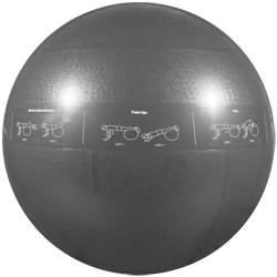 GoFit Professional Grade Stability Ball - 75 cm