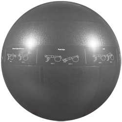 GoFit Professional Grade Stability Ball - 75 cm