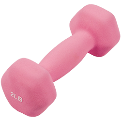 GoFit 2 lbs Neoprene Dumbell