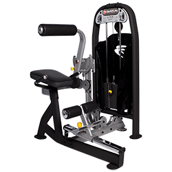 Batca Link LD-5 Ab Crunch Back Extension
