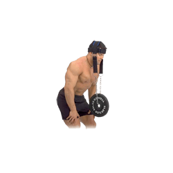 Body-Solid Nylon Head Harness