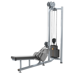 Matrix Magnum Free-standing Dual-pulley Low Row