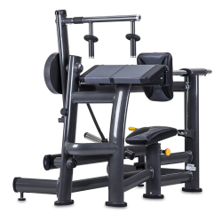 SportsArt A979 Low Row