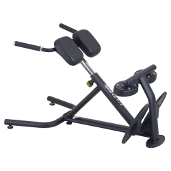 SportsArt A993 Back Hyperextension