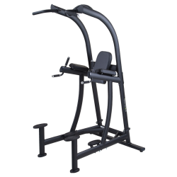 SportsArt A994 VKR Chin Dip Station
