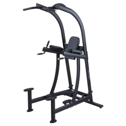 SportsArt A994 VKR Chin Dip Station
