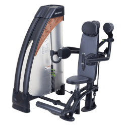 SportsArt N919 Independent Lateral Raise