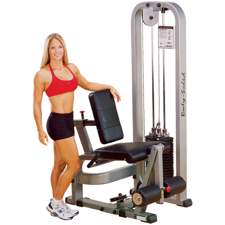 Body-Solid Pro Clubline Vertical Knee Raise Chin Dip