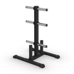 Vision 300-WPS Weight Plate Storage