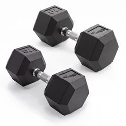 Vision Fitness Rubber Hex Dumbbell 55-100lb Set