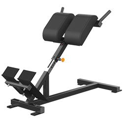 Matrix Varsity Series Back Extension Bench