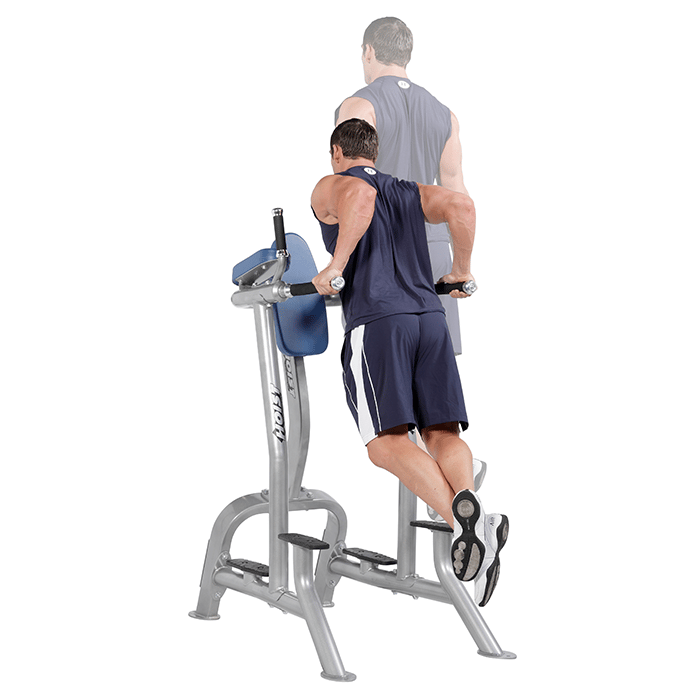 Hoist CF-3252 Vertical Knee Raise - Dip