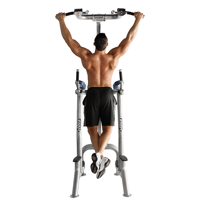 Hoist CF-3962 Fitness Tree