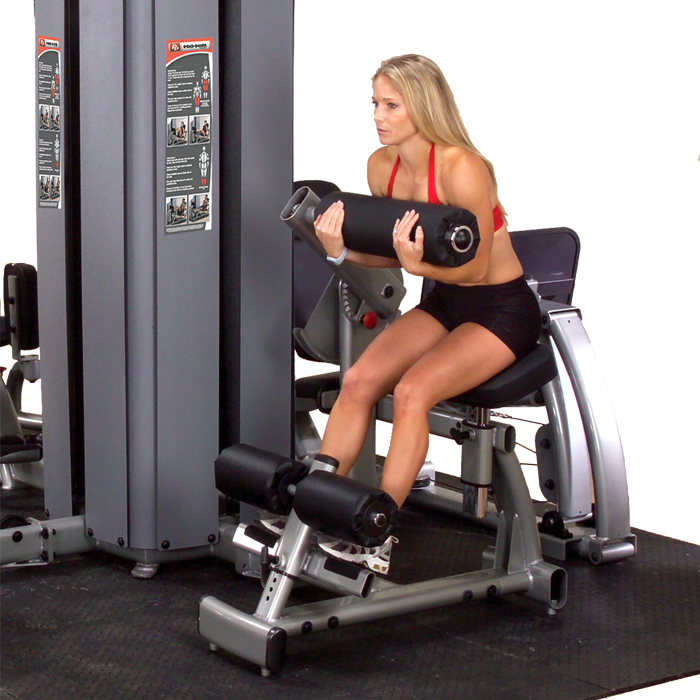 Body-Solid Pro Dual DGYM Pro Ab / Back Component