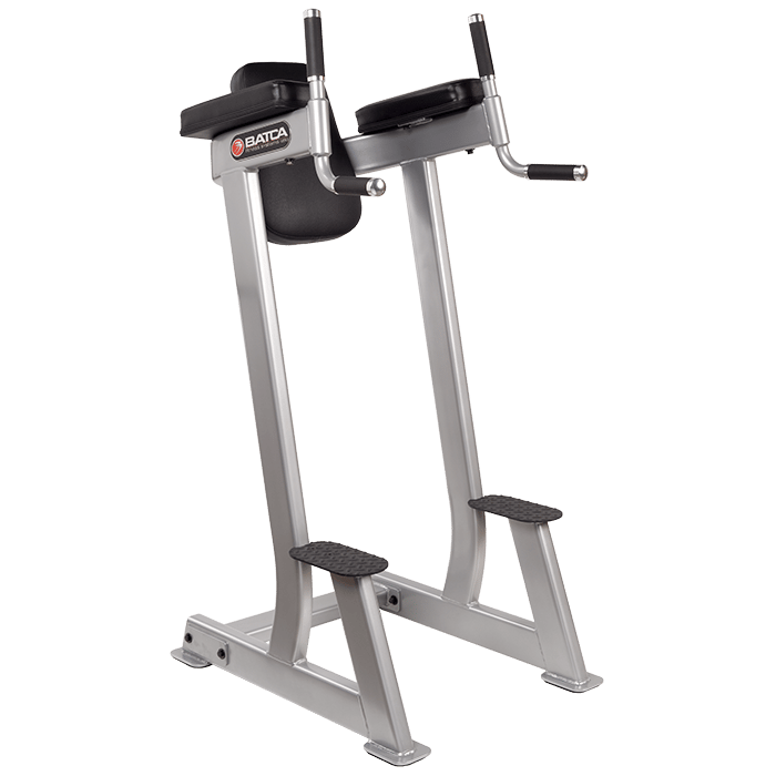 Batca FZ-9 Vertical Knee Raise Dip