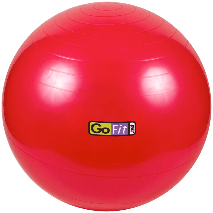 GoFit 55cm Stability Ball