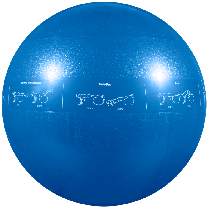 GoFit Professional Grade Stability Ball - 55 cm