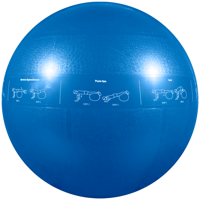GoFit Professional Grade Stability Ball - 55 cm