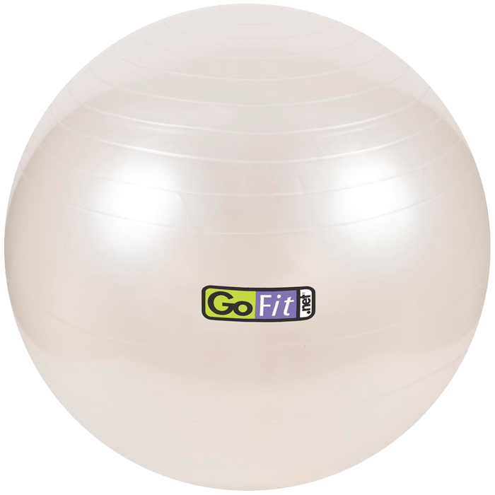 GoFit 65cm Stability Ball