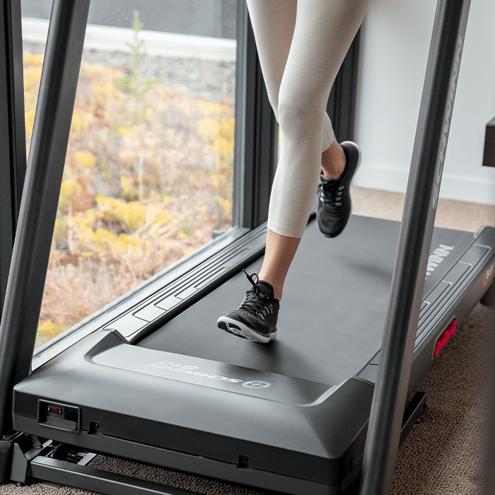 Schwinn 810 Treadmill