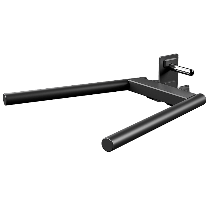 Matrix Magnum MX Dip Bar