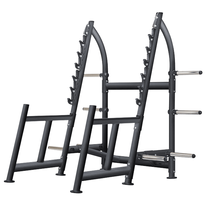 SportsArt A965 Squat Rack