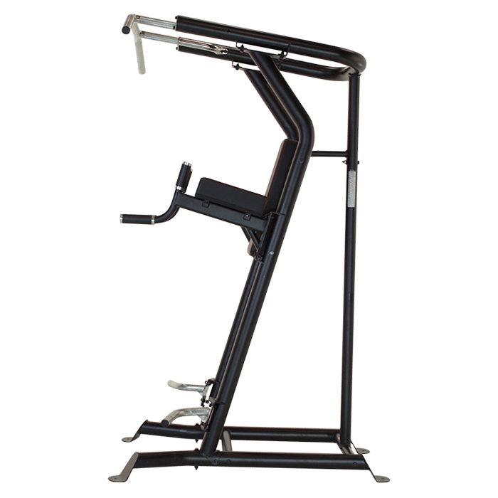 Inspire Fitness Vertical Knee Raise