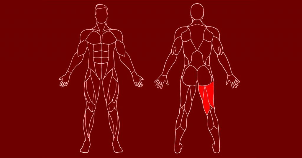 Get This Comprehensive List Of Strength Exercises That Work Every Muscle Of The Body