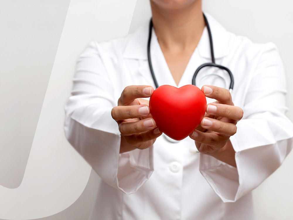 Medical professional holding a fake heart to fight heart disease.